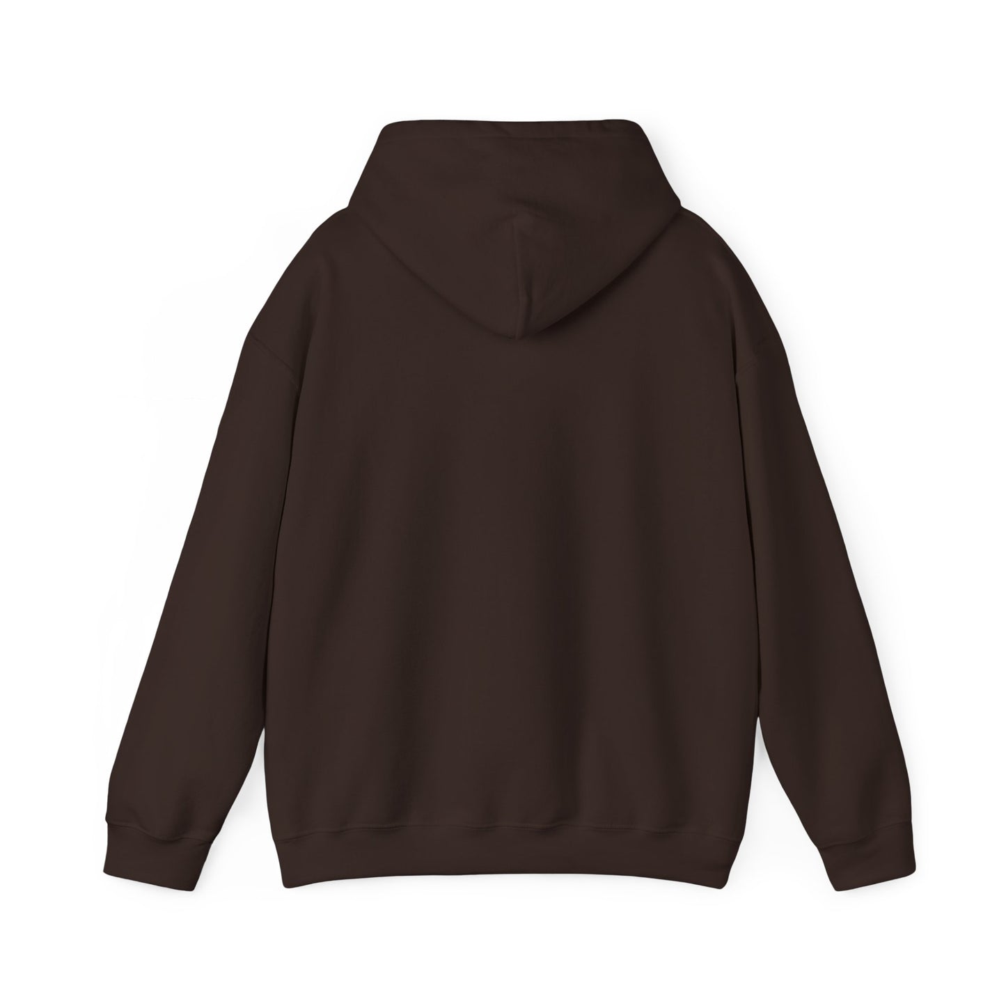 Iota Phi Theta Hooded Sweatshirt