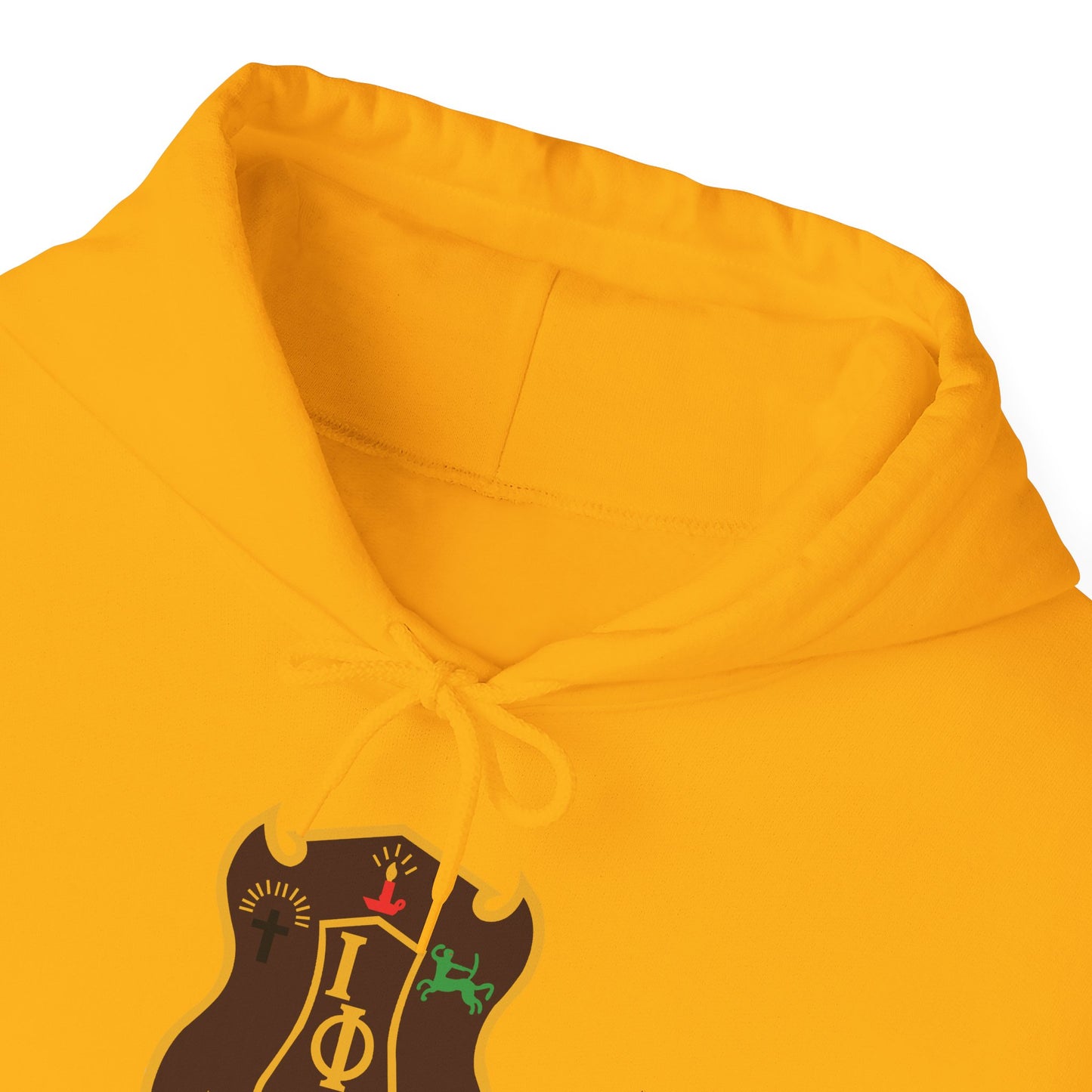 Iota Phi Theta Insignia Hooded Sweatshirt