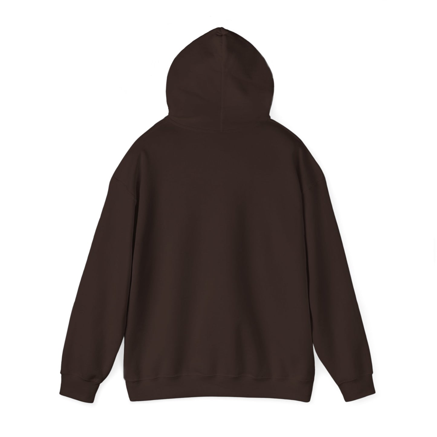 Iota Phi Theta Hooded Sweatshirt