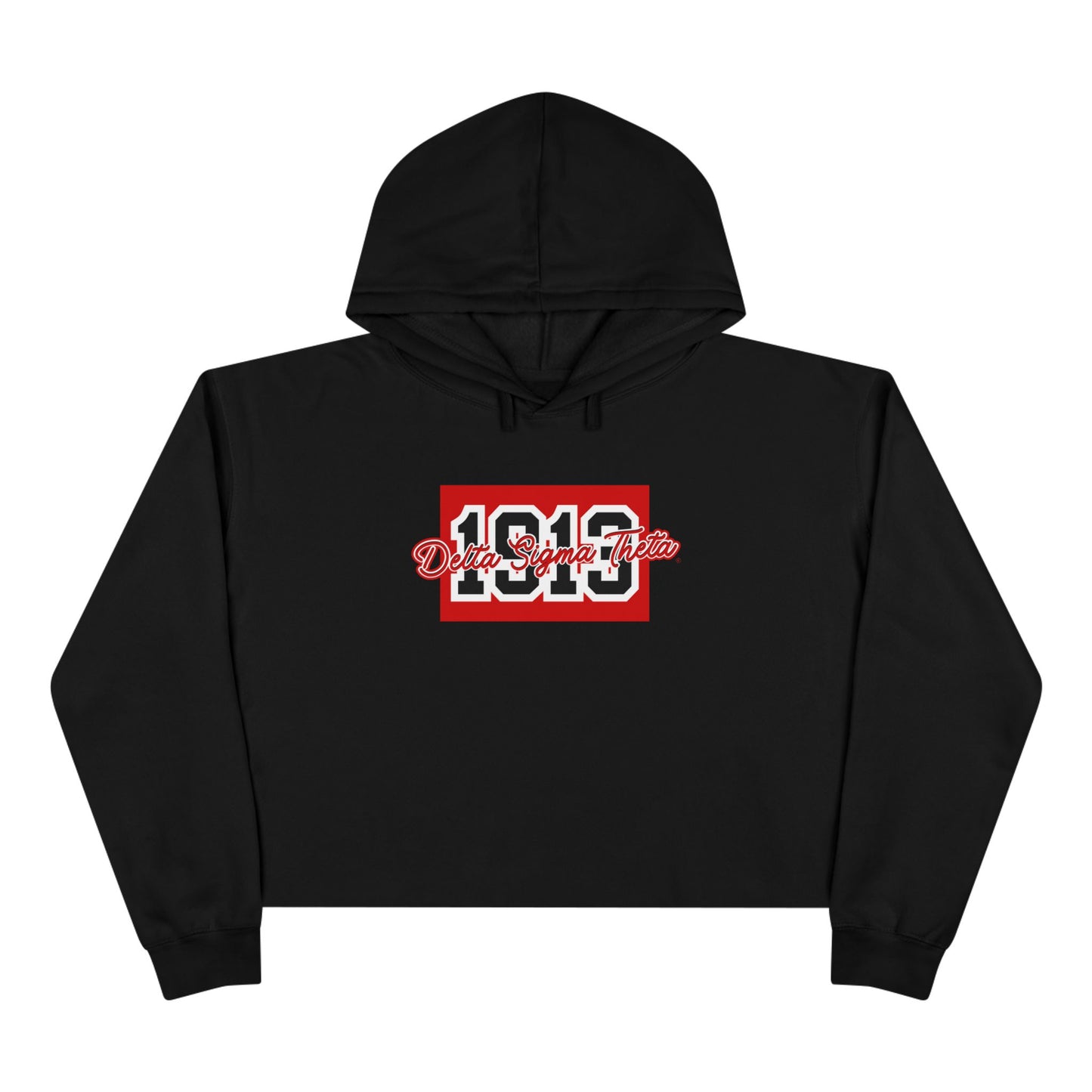 Delta Varsity 1913 Cropped Hoodie