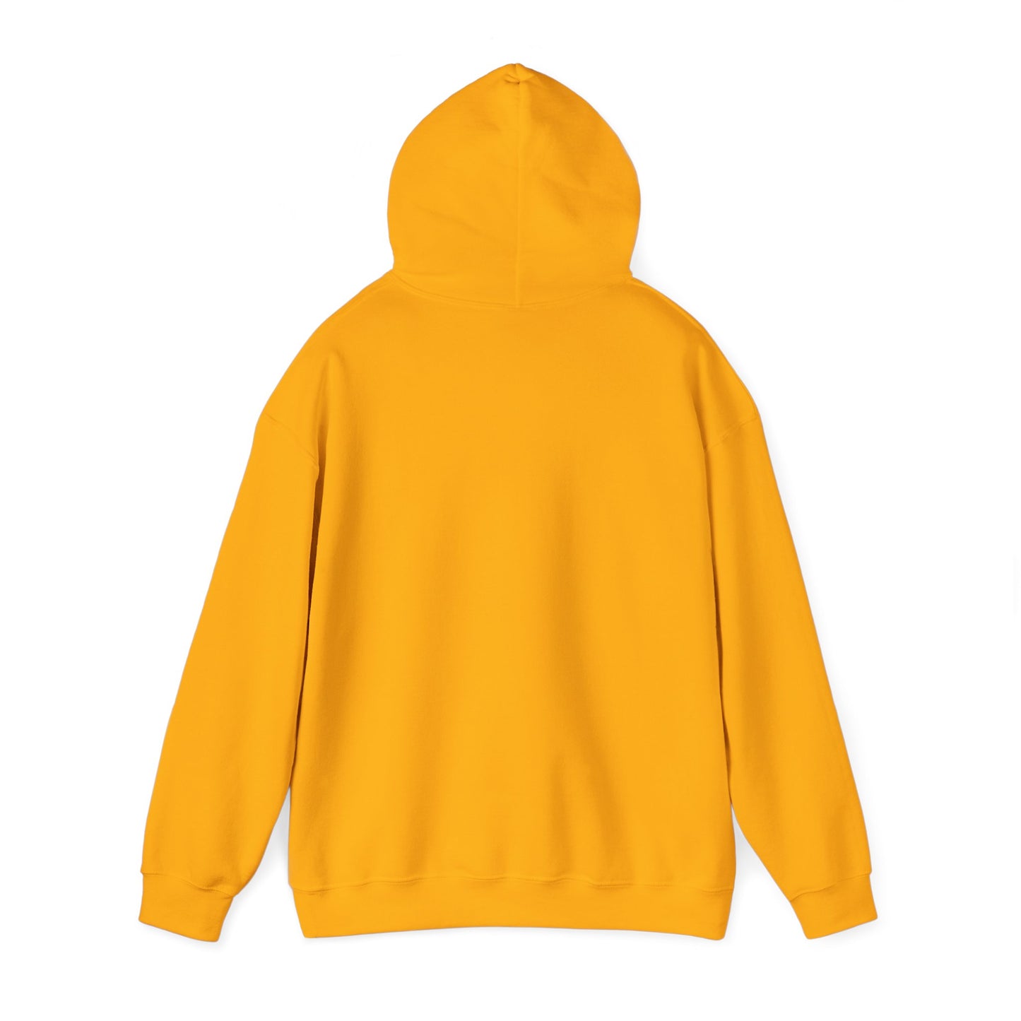 Iota Phi Theta Insignia Hooded Sweatshirt