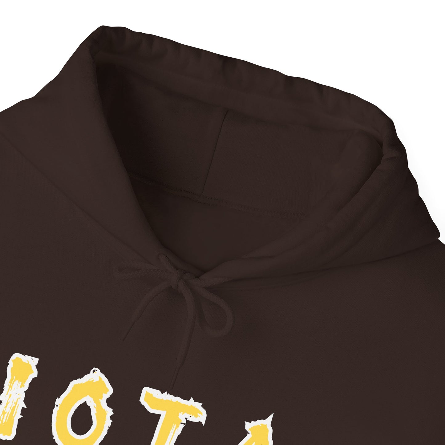Iota Phi Theta Hooded Sweatshirt