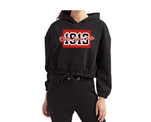 Delta Sigma Theta Varsity 1913 Cropped Drawstring Hoodie
