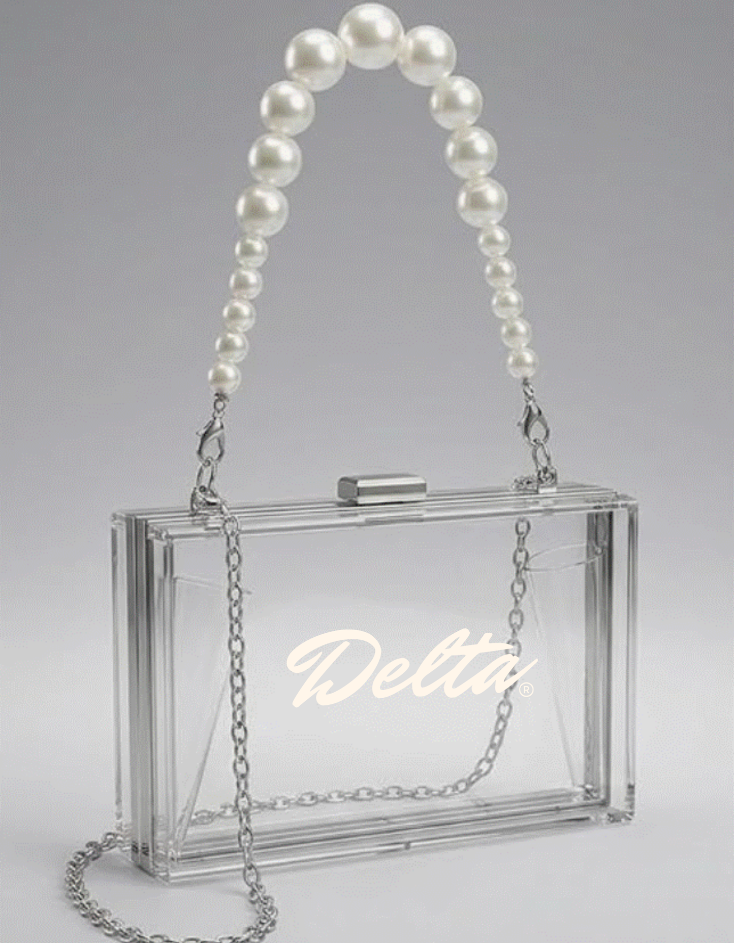 DST - Clear Acrylic  Purse
