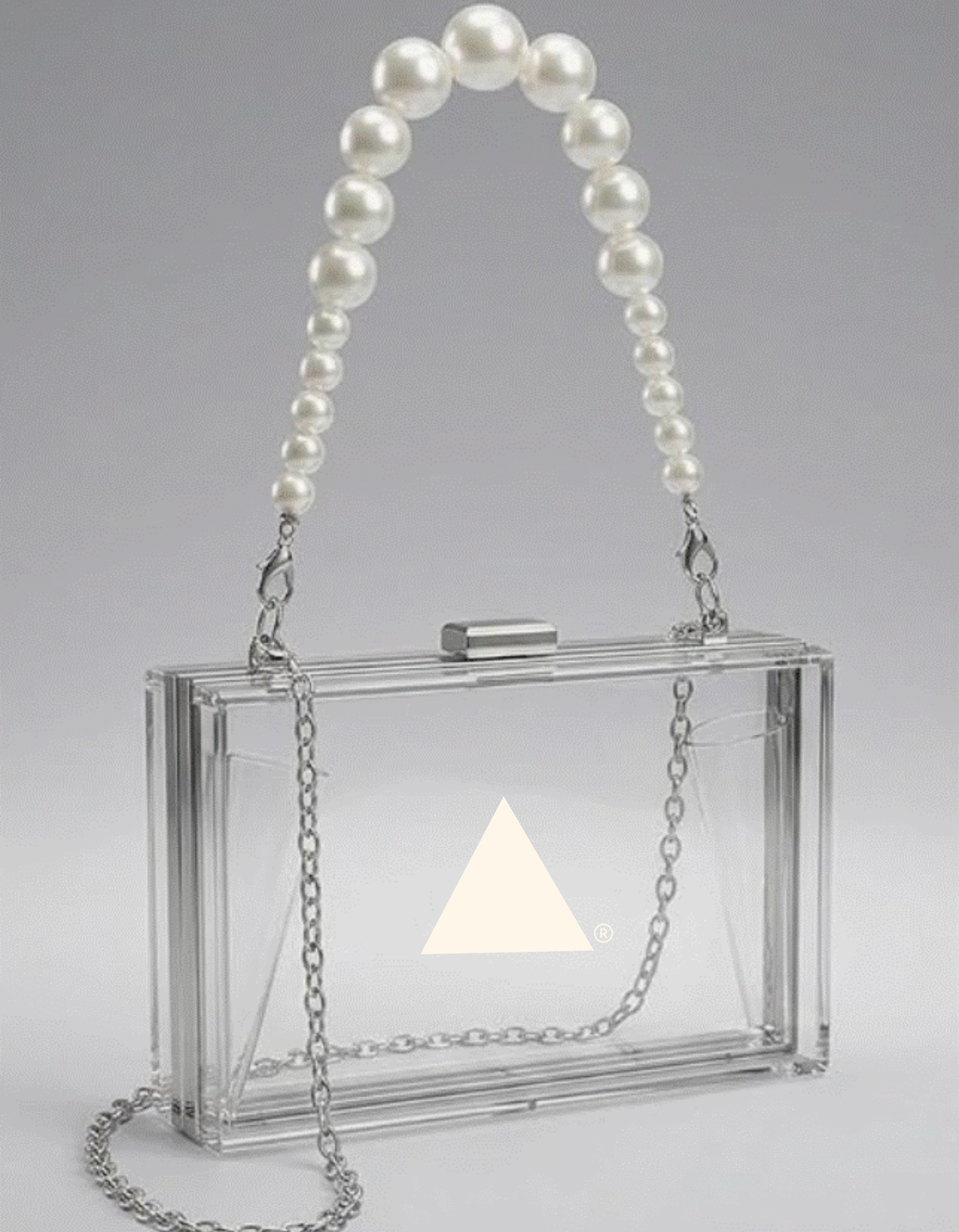 DST - Clear Acrylic  Purse