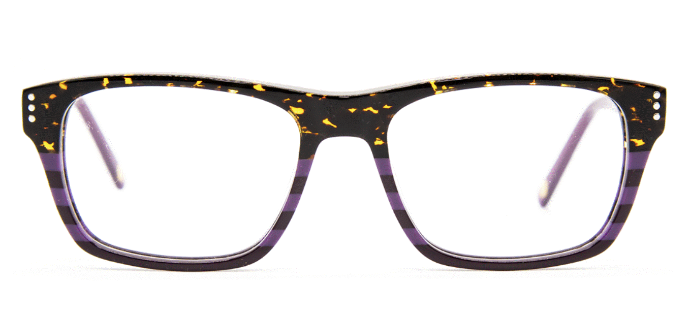 Vontelle - Martin Tortoise/Purple Eyeglasses