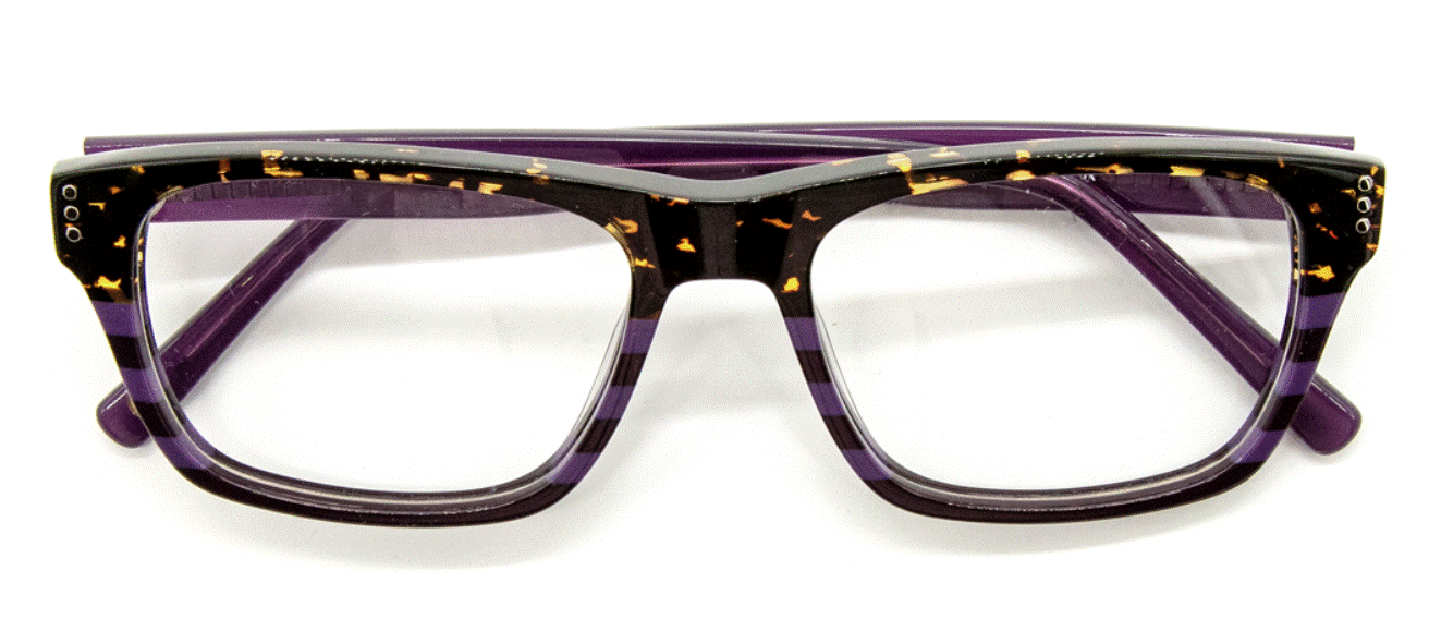 Vontelle - Martin Tortoise/Purple Eyeglasses