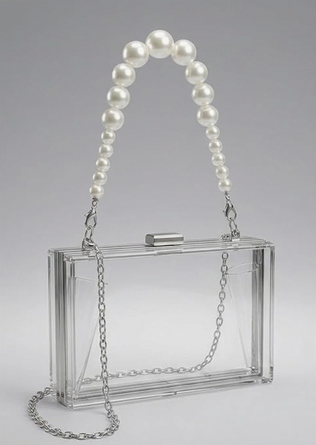 DST - Clear Acrylic  Purse